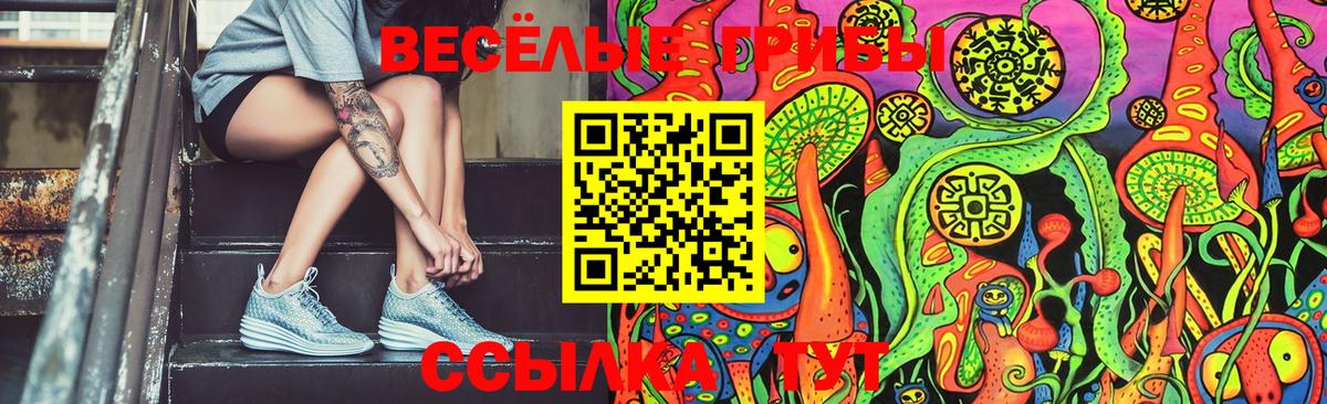 Псилоцибиновые грибы Cubensis Курчатов