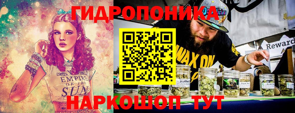 Курчатов  Конопля сатива  Вход с VPN  Каннабис планчик  Канабис индика  Шишки марихуана VHQ 